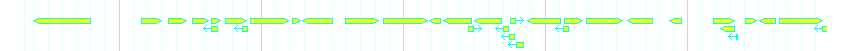 Genes detail