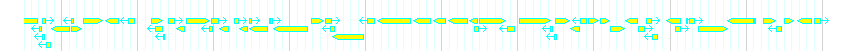 Genes detail