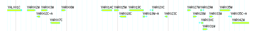 Genes detail