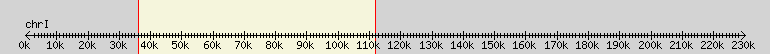 __scale__ overview