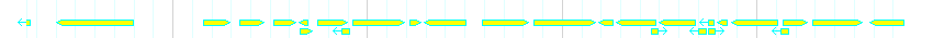 Genes detail