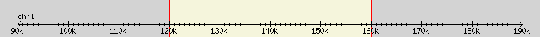 __scale__ region