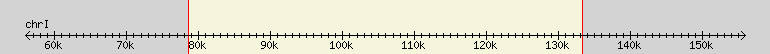 __scale__ region