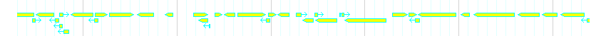 Genes detail