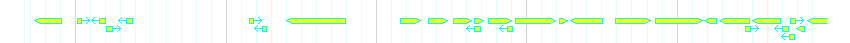Genes detail