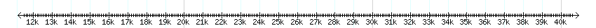 __scale__ detail