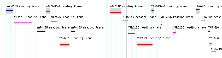 CDS detail
