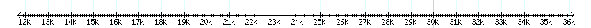 __scale__ detail