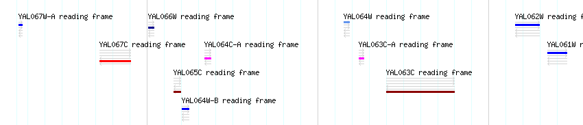 CDS detail