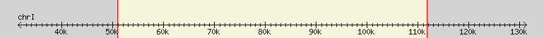 __scale__ region
