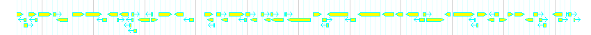 Genes detail