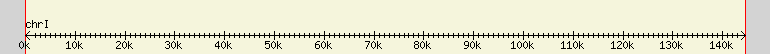 __scale__ region