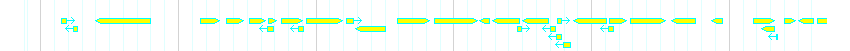Genes detail