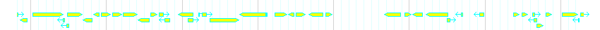 Genes detail