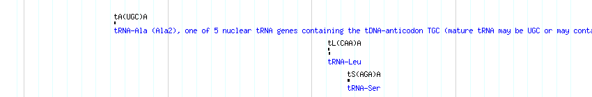 tRNAs detail