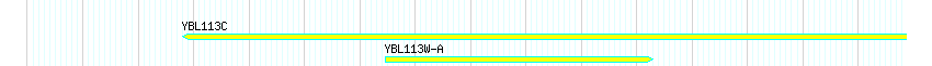 Genes detail