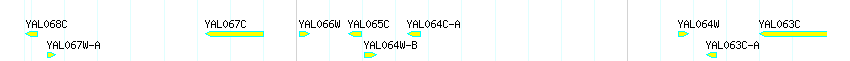 Genes detail