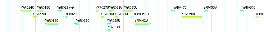 Genes detail