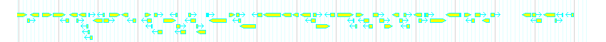 Genes detail