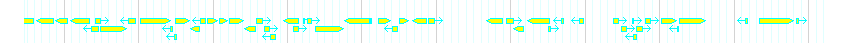 Genes detail