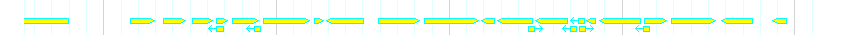Genes detail
