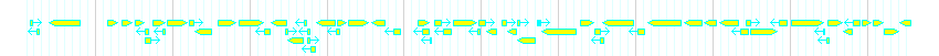 Genes detail