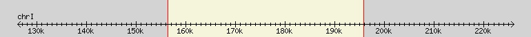 __scale__ region