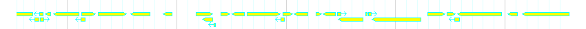 Genes detail