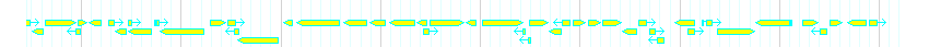 Genes detail