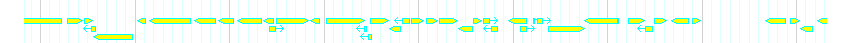 Genes detail