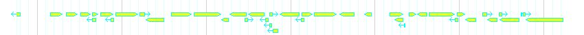 Genes detail