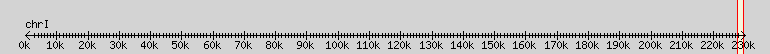 __scale__ overview