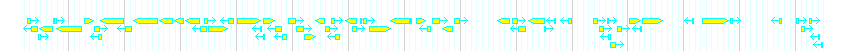 Genes detail