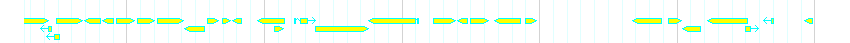 Genes detail