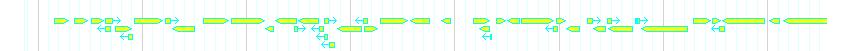 Genes detail