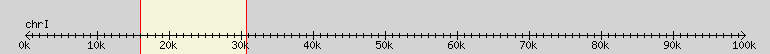 __scale__ region
