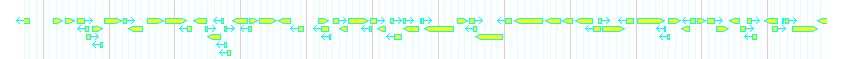 Genes detail