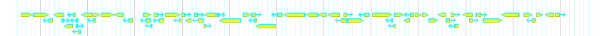 Genes detail