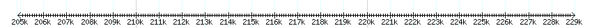 __scale__ detail