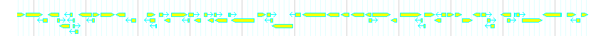 Genes detail
