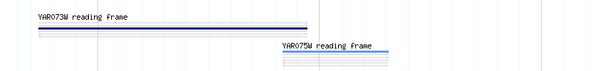 CDS detail