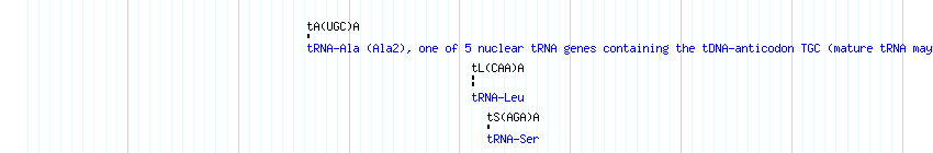 tRNAs detail