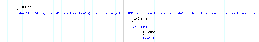 tRNAs detail