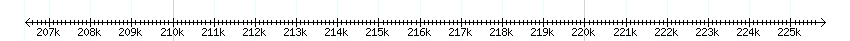 __scale__ detail