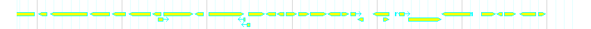 Genes detail