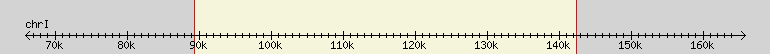 __scale__ region