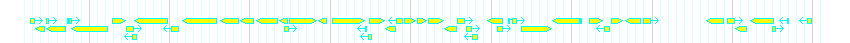 Genes detail