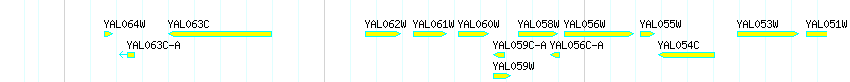 Genes detail