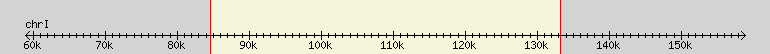 __scale__ region