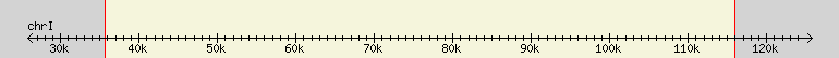 __scale__ region